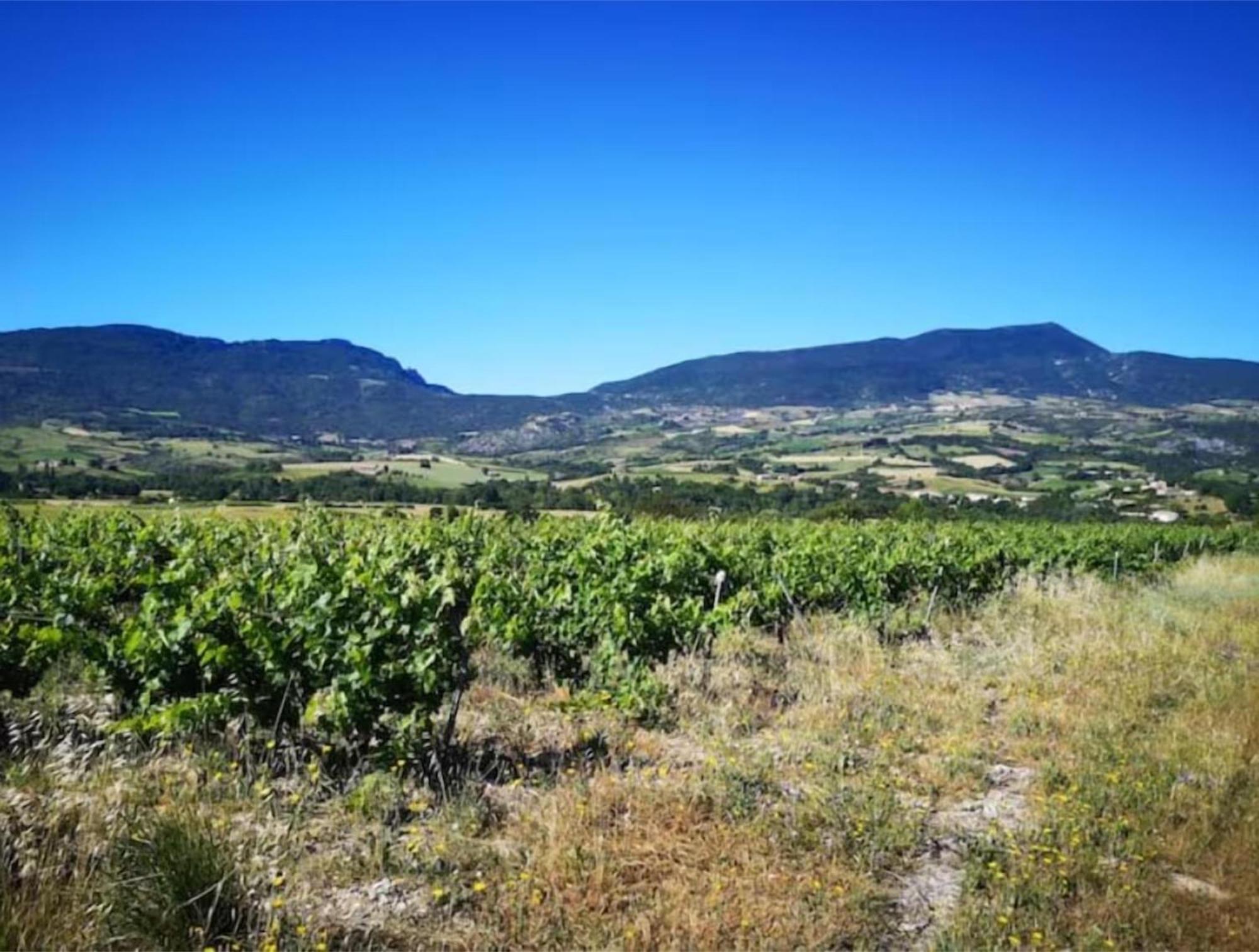 Sainte-Jalle Le Cigalou - Drome Provencaleヴィラ エクステリア 写真