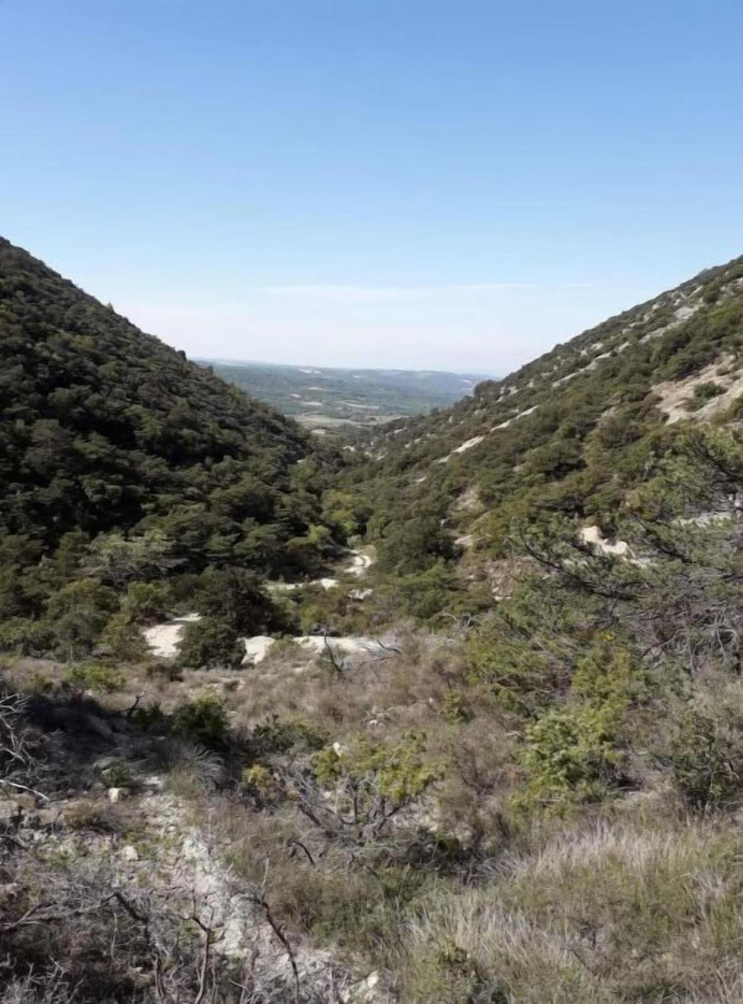 Sainte-Jalle Le Cigalou - Drome Provencaleヴィラ エクステリア 写真